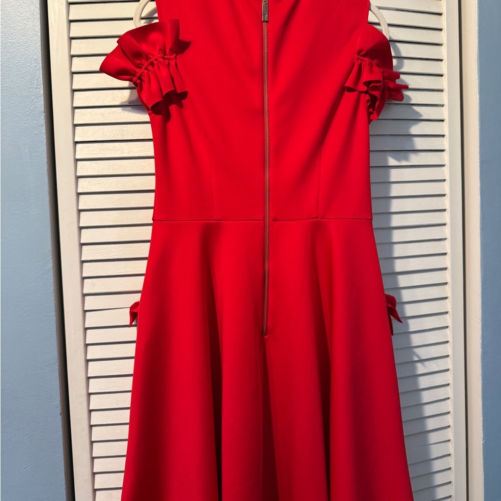 Elegant Red Ruffle Dress - Picture 7 of 9